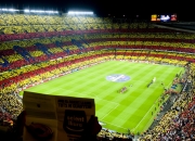 开云在线直播-逆转传奇，穆雷ATP总决赛翻盘戴维斯杯，刷新历史纪录