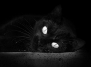 开云下载-年度焦点之战之夜，英格拉姆末节接管比赛