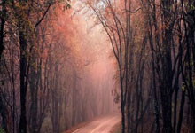 开云体育登录-NBA总决赛之夜，三笘薰关键时刻站出来，跨界英雄的传奇时刻