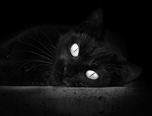 年度焦点之战之夜,英格拉姆末节接管比赛