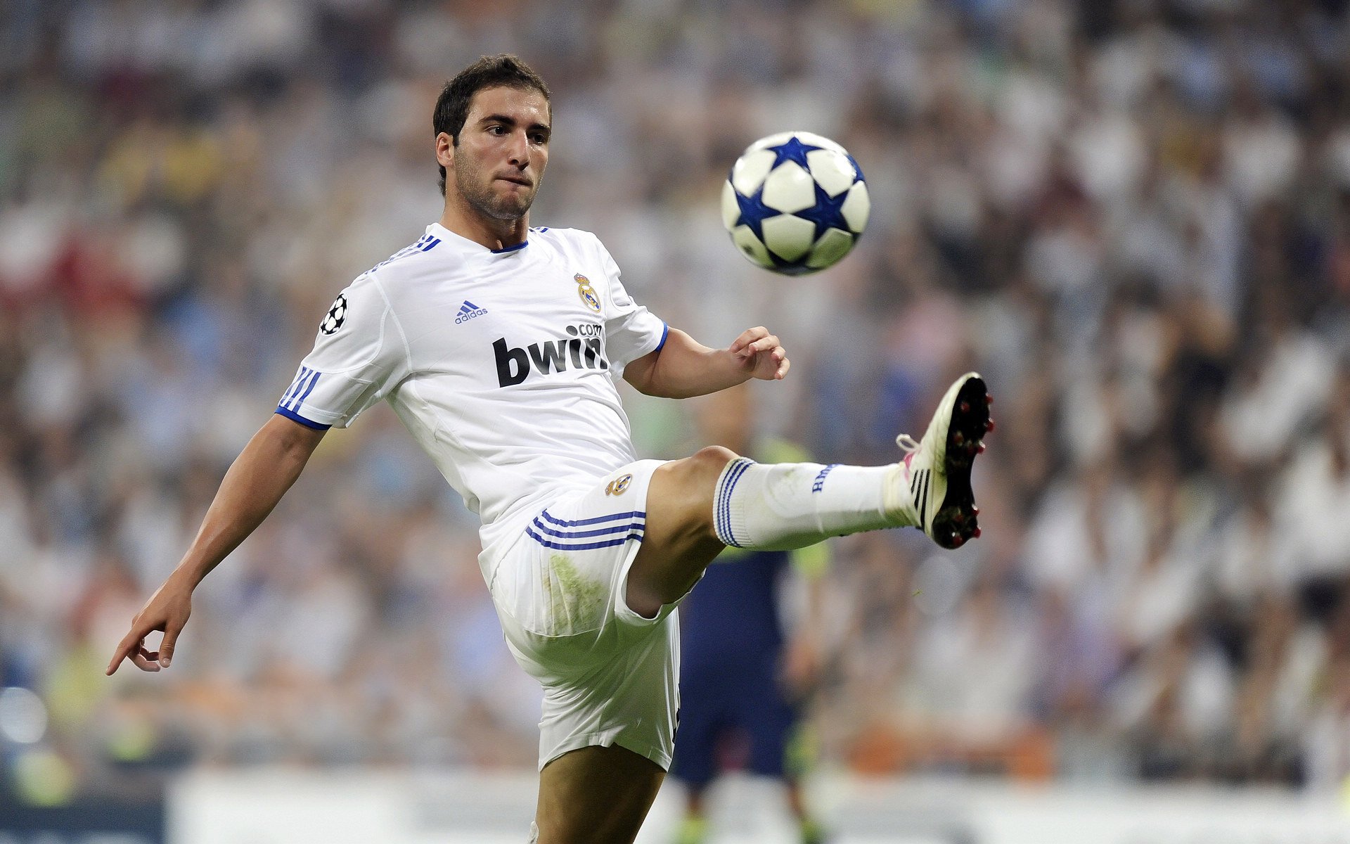 当唯一成为战术,威廉姆斯的孤注一掷与诺里斯的破局之道